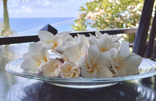 Anse Royale Apartment | Chalets BougainvillenStandard Studio with Sea View