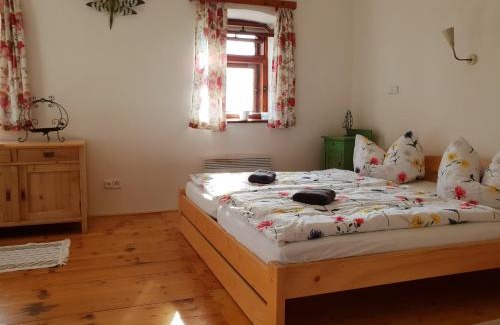 Ruzova House | CHALUPA AROSA