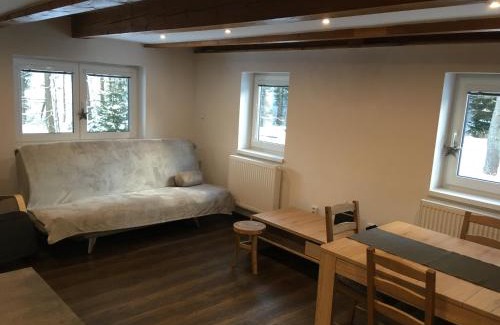 Vysoke nad Jizerou House | Chalupa pod sjezdovkou