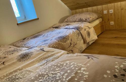 Janov nad Nisou House | Chalupa Střelenka