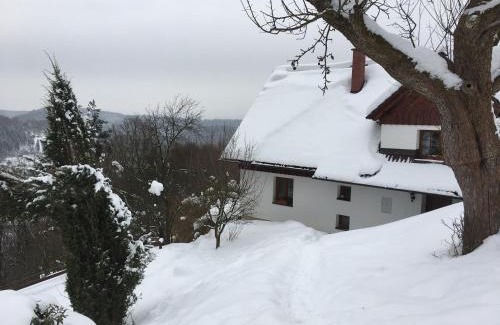 Mala Skala Ski Chalet | Chalupa Záborčí