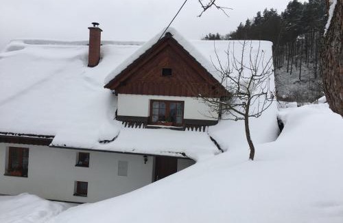 Mala Skala Ski Chalet | Chalupa Záborčí