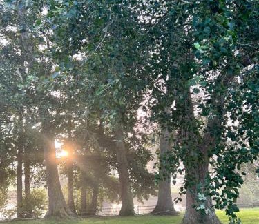 Saint-Germain-de-Varreville Bed & Breakfast | Chambres Vaugoubert