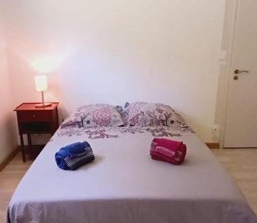 Fontanil-Cornillon House | Chambre à louer 15mnn de Grenoble-salle de bain privée-WIFI gratuit