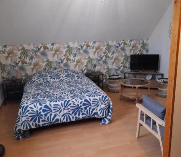 Mur-de-Sologne House | Chambre Chez Lionel