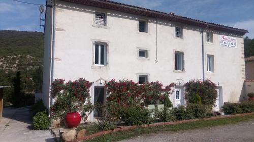 Riols Bed & Breakfast | Chambre d'hôte Le Clos d'Audio à Riols