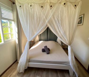 Le Morne-Rouge House | Chambre et SDB privative Roucou vue Mont Pelée dans maison partagée