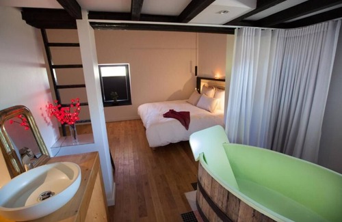 Saint-Quentin-Fallavier Bed & Breakfast | Chambre La Foudre L'Alouette, 20 minutes from the airport.