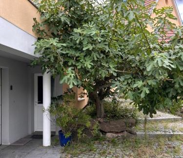 La Wantzenau House | chambre privative au rez de jardin dans villa