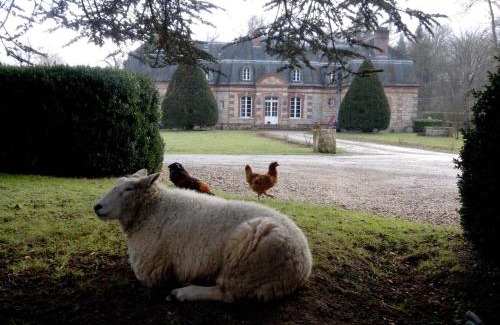 Neufmoutiers-en-Brie House | Chambres d'hôtes La Bourbelle
