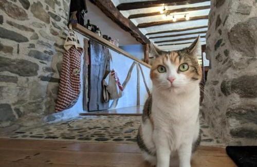 Bordes-Uchentein Bed & Breakfast | Chambres d'hôtes Les Chatougoulis