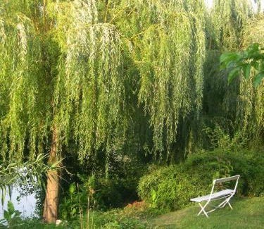 Bias Bed & Breakfast | Chambres d'hôtes au château de Favols