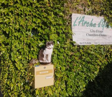 Campuac Bed & Breakfast | Chambres d'hôtes l'arche d'Yvann