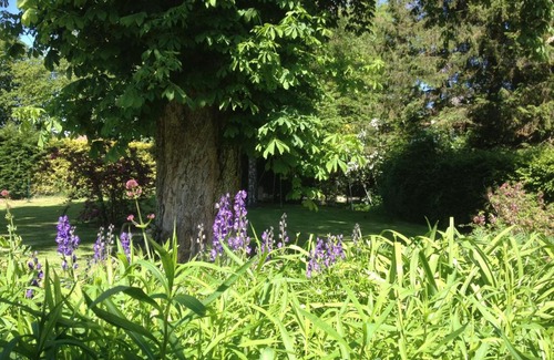 Caours Bed & Breakfast | Chambres d'Hôtes la Riviérette