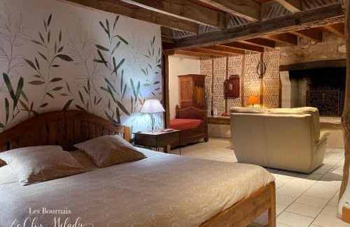 Theneuil Bed & Breakfast | Chambres d'Hôtes Les Bournais - Le Clos Milady