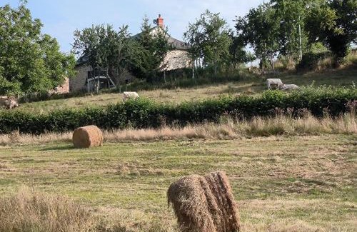 Larochemillay Bed & Breakfast | Chambres d'Hôtes Montjouan