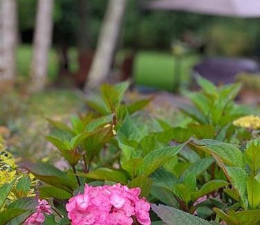 Lassay-sur-Croisne Bed & Breakfast | Chambres entre Romorantin-Chambord-Zoo de Beauval - Orée du Bois en Sologne