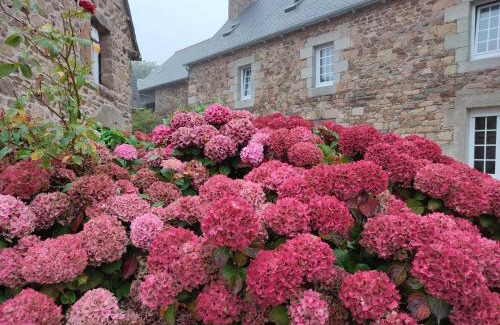 Ploubazlanec Bed & Breakfast | Chambres et tables d'hôtes Cornec
