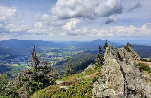 Runding Hotel | Chambtaler Hof