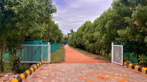 Gangavathi Hotel | Chandana green view resort Hampi