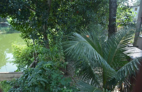 Baruipur House | Chandannagar Hibiscus