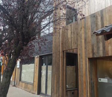 Lanin National Park Apartment | Chapa atrás - SalePatagonia