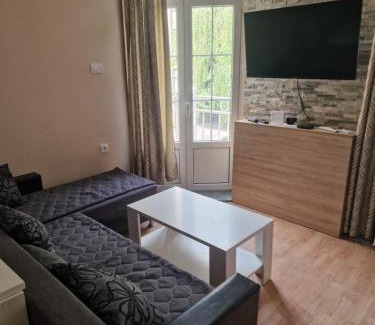 Paracin Apartment | Chaplin Apartment
