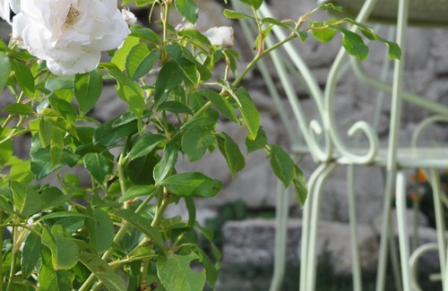 Roche-Saint-Secret House | Character cottage in the castle of Alençon - Between Grignan, Dieulefit and Nyons