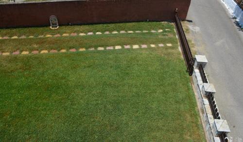 Archea Pissa House | Chara host