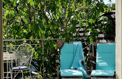 Selles-sur-Cher Cottage | Character cottage near the Beauval zoo and the castles of the Loire