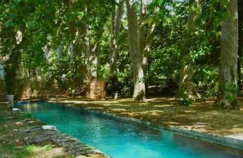 Le Cailar House | Character house under three-hundred-year-old plane trees