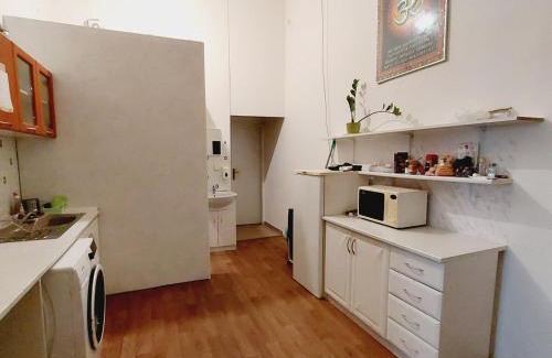 Stare Mesto Apartment | Charles bridge, Old town3 Min walk Private Room H