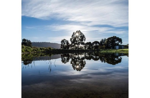 Tea Tree House | Charles Reuben Estate