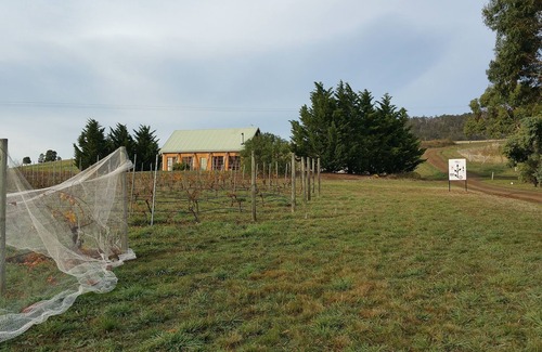 Tea Tree Cottage | Charles Reuben Estate