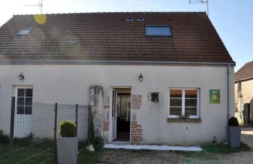 Saint-Hilaire-Saint-Mesmin House | Charmante maison près des châteaux de la Loire avec jardin fermé et animaux bienvenus - FR-1-590-65
