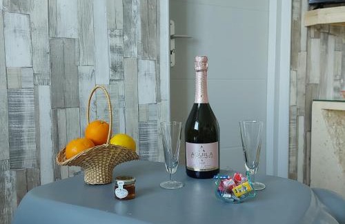 Escueillens-et-Saint-Just-de-Belengard Apartment | Charmant appartement proche Carcassonne
