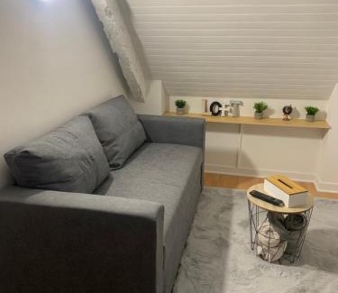 La Madeleine-Bellevue Apartment | Charmant appartement Saint-Malo
