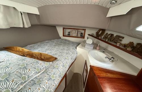 La Ferte-sous-Jouarre Boat Rental | Charmant bateau sur la Marne le VIKING