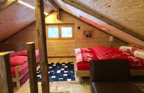 Nendaz Ski Chalet | Charmant chalet unique de montagne Nendaz