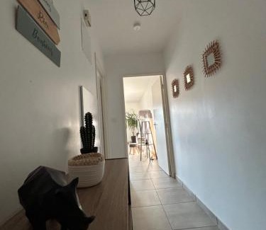 Saint-Jean-de Niost Apartment | Charmant T3 proche plaine de l’Ain