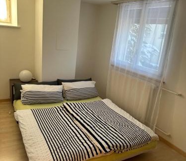 Uster District Apartment | charmante 3,5 Zimmer Wohnung in Bauernhaus
