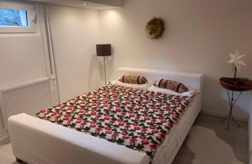 Marburg Apartment | Charmante Einliegerwohnung, 3 Zimmer in ruhiger Wohnlage, 60qm, mit gemütlicher Südterrasse