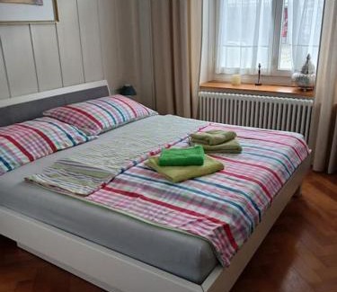 St. Gallen Apartment | Charmante Jugendstilwohnung mit Tiefengaragenplatz