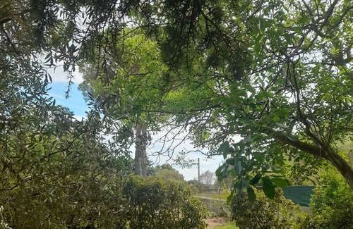 Sagries Villa | Charmante Maison de Campagne Arborée Avec Piscine