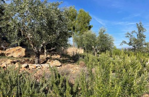 Fayence House | Charmante maison de vacances Sud France