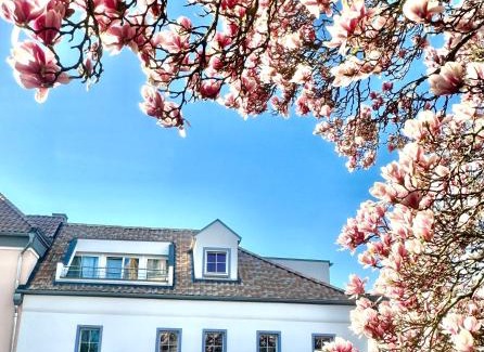 Brenig Apartment | Charmantes Haus Nähe Bonn Köln Messe Phantasialand