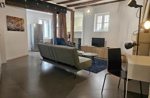Tours City Centre Apartment | Charme & Clim Place Chateauneuf - Coeur de Tours
