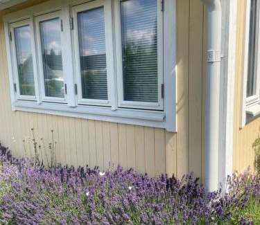 Tibro Villa | Charmigt Villa bredvid sjön Örlen