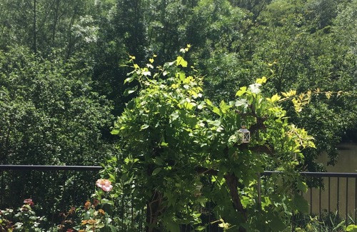 Saint-Antonin Noble Val Apartment | Charming riverside garden apartment with mesmerising views of Roc d'Anglars