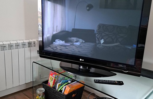 Troon Apartment | Charming 1-Bed Apartment in Troon